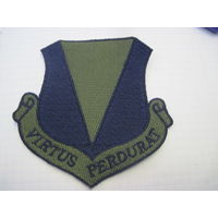 Шеврон армии США с рубля!