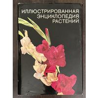 Иллюстрированная энциклопедия растений.Артия.1985г.