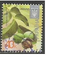 Украина. 8-й стандарт. Орех. 2012г. Mi#1215 II.