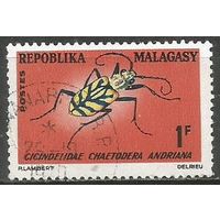 Республика Мадагаскар. Жук Жужелица. 1966г. Mi#546.