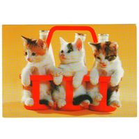 Посткроссинг. Открытка из Кипра: котята и молоко (11х16). Прошла почту. Художественные марки.