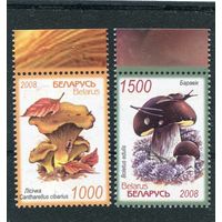 Беларусь 2008. Грибы