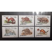 Румыния. 1997 год. Фауна. Пушные звери (560)