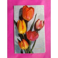 8 марта! Чистая. Двойная. 1973 года. Максимов. 2039.