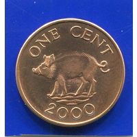 Бермудские острова , Бермуды 1 цент 2000 UNC