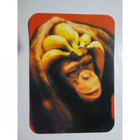 Календарик 2000 г. Есть в жизни счастье!