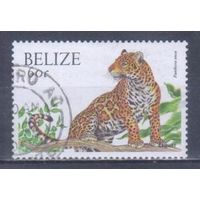[962] Белиз 2000. Фауна.Дикие кошки.Ягуар. Гашеная марка.