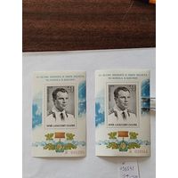 СССР  1976  2 бл+8 м  День космонавтики