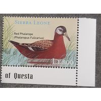 2000 Плосконосый плавунчик  Сьерра -Леоне