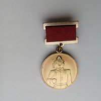 Юморная медаль к 23 февраля.