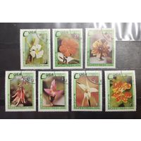 Куба. 1973 год. Флора. Цветы (1294)