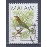 [1219] Малави 1988. Фауна.Птицы. Гашеная марка. 1