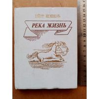 Пётр Агеевич Кошель. Река Жизнь. Стихи.