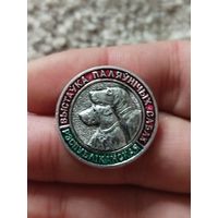 Республиканская выставка охотничьих собак