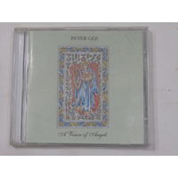 Диск. Фирменный диск. CD-диск Peter Gee. "A Vision of Angels" (2)