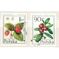 Ягоды. 2 марки, гаш. Польша.