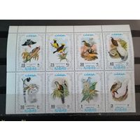 Аджман 1971 фауна птицы