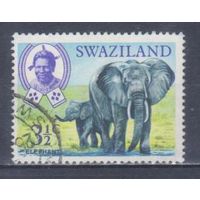 [2298] Свазиленд 1969. Фауна.Африканский слон. Гашеная марка.
