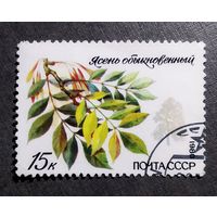 Марка СССР 1980 год Охраняемые породы деревьев и кустарников