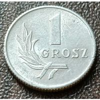 Польша 1 грош, 1949    ( 1-5-2 )
