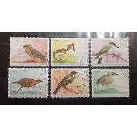 Куба. 1990 год. Фауна. Птицы (348)