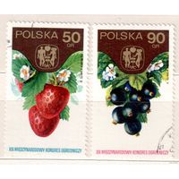 Ягоды. 2 марки, гаш. Польша./ 2
