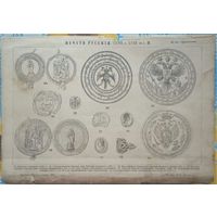 Печать старинная, гравюра, таблица. Для интерьера.