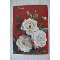 Дергилев И., 8 Марта  (на белорусском языке) 1990, чистая, ДМПК + провизорий СССР "8 коп".