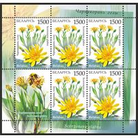 2009 БЕЛАРУСЬ коллекционная марка "Чернокорень голый"  MNH