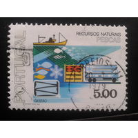 Португалия, 1978. Природные ресурсы. Рыбалка, транспорт