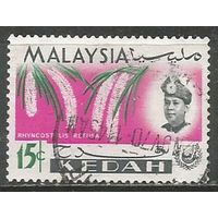 Малайские штаты(Кедах). Цветы. Орхидеи. 1965г. Mi#111.