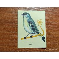 Спичечная этикетка Чиж