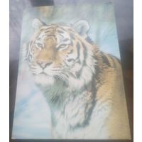 1986 год Уссурийский тигр