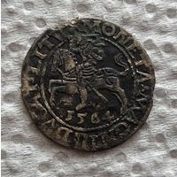 Полугрош 1564