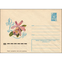 Художественный маркированный конверт СССР N 12494 (06.12.1977) Каттлея