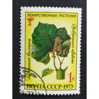 1973 СССР. Лекарственные растения. Заманиха высокая