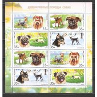 ФФ3 Россия 2019 Собаки