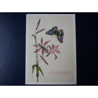 Поздравляю!  Цветы, бабочка.  1989 г.