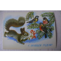Достян Р., С Новым годом! 1990, 1991, чистая (белка, снегирь, синица).