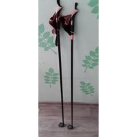 Палки лыжные Rex