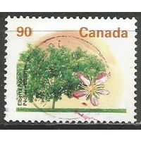 Канада. Фруктовое дерево. Груша. 1992г. Mi#1342 А.