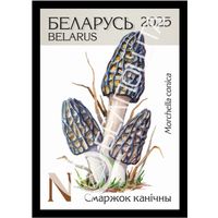 Беларусь 2025г 18-й стандартный выпуск. Смаржок канiчны (самокл. )MNH