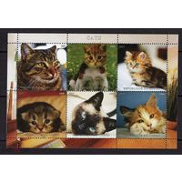 СЕРИЯ Блоков кошки собаки тигры  фауна  MNH