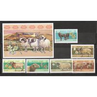 ФФ1 Монголия 1999 Овцы