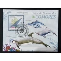 ЛИСТ ФАУНА рыбы морские обитатели  СТО