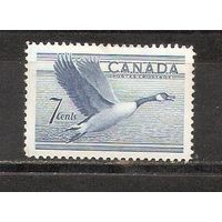 ФФ2 Канада 1952 Птица