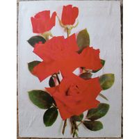 Картонка от коробки конфет, СССР