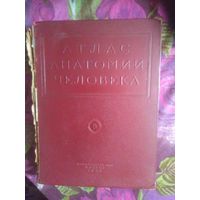 Воробьёв, Синельников, Атлас анатомии человека, том 4, 1940 г.