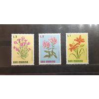 Сан-Марино. Флора. Цветы (311)