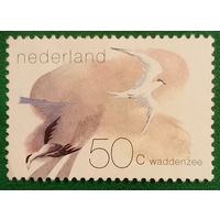 Нидерланды 20 апреля 1982. Ваттовое море и птицы